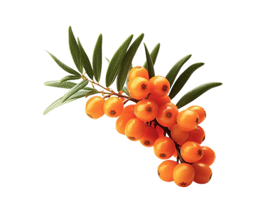 Ingredient Source 1