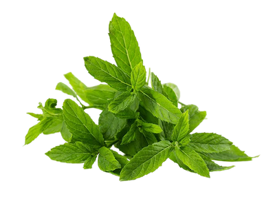 Ingredient Source 4